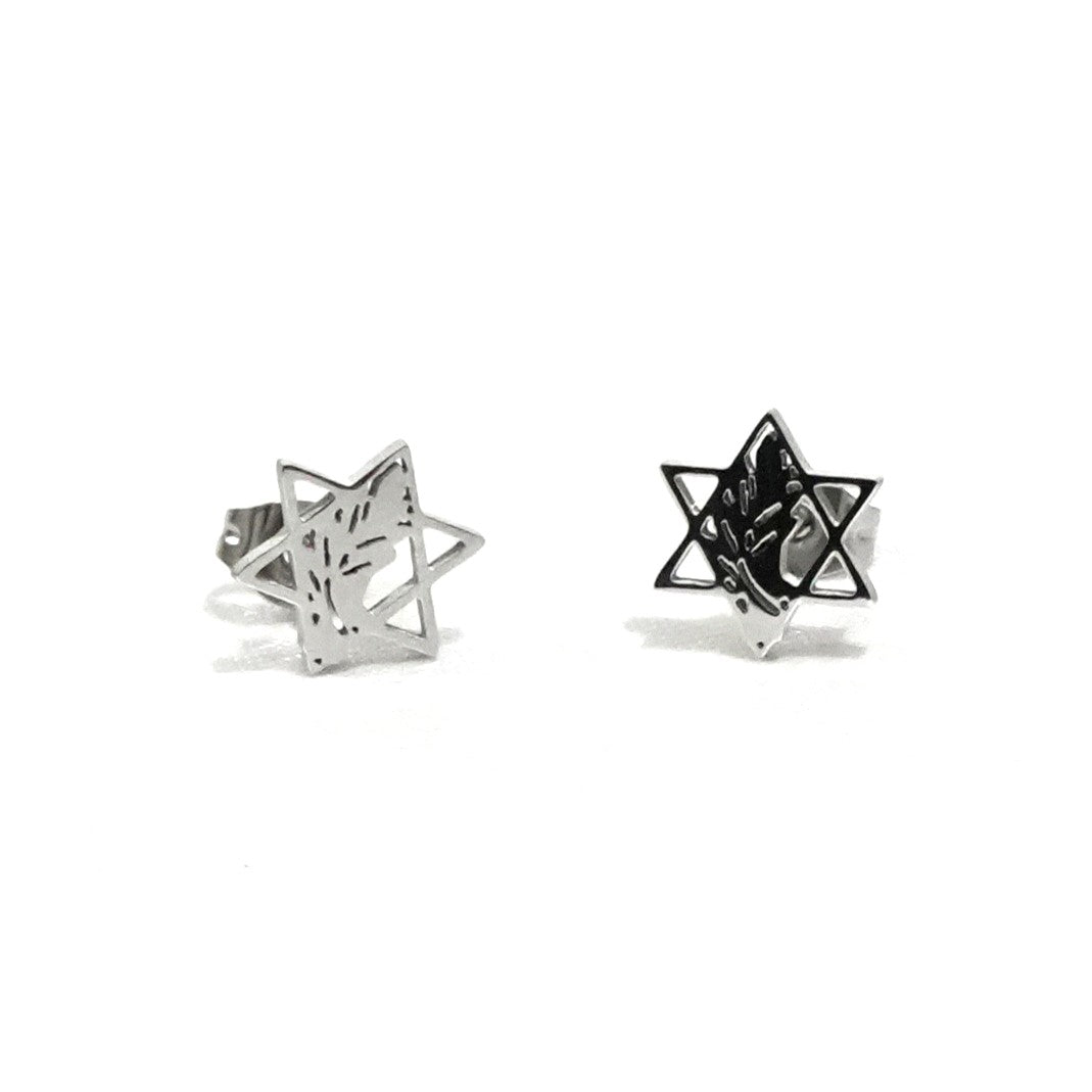 עגילי מגן דוד